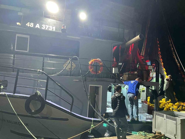 Didim'de hamsi kotası denetimleri sezon boyunca sürecek