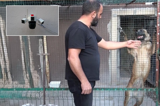 Kümes değil adeta kasa! Kamera, çelik kapı ve kurt köpeği...