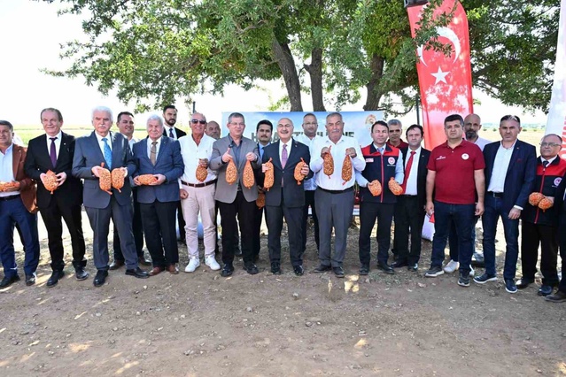Denizli Acıpayam'da badem hasadı yapıldı, üretim 2025'te bin 872 tona geriledi