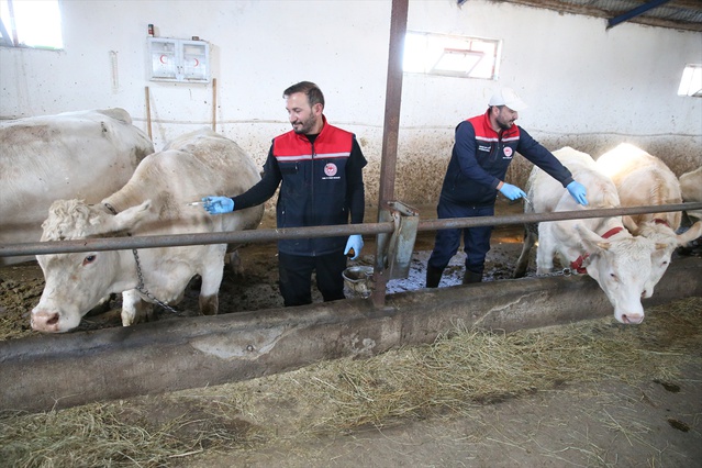 Kars'ta 100 kişilik aşı ekibi 9 ayda 1 milyon 870 binden fazla doz uyguladı