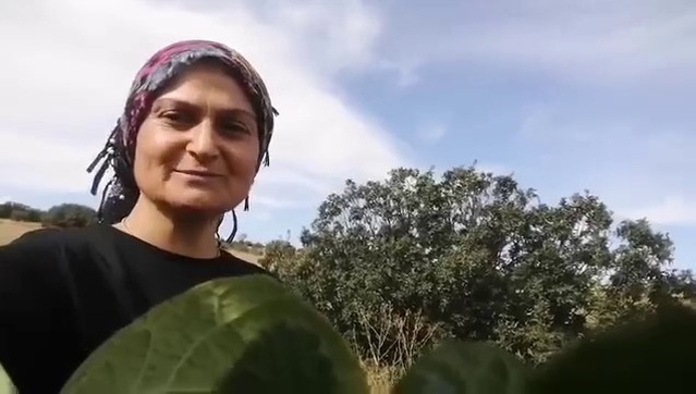 Sivas'ta karpuz verilen tilki eşiyle döndü, ev sahibi yuvasına yemek götürdü