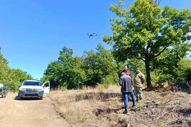 Afyonkarahisar Sultandağı'nda kaybolan 9 büyükbaş hayvan dronla sağ salim bulundu