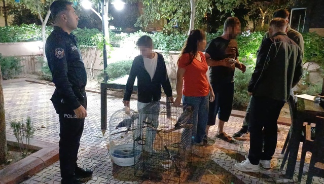 Aksaray'da Afrika gri papağanlarını satmaya çalışan kişiye 30 bin lira ceza kesildi