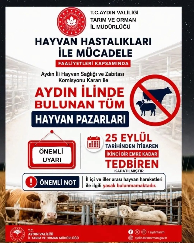 Aydın'da hayvan hastalıkları nedeniyle tüm hayvan pazarları tedbiren kapatıldı
