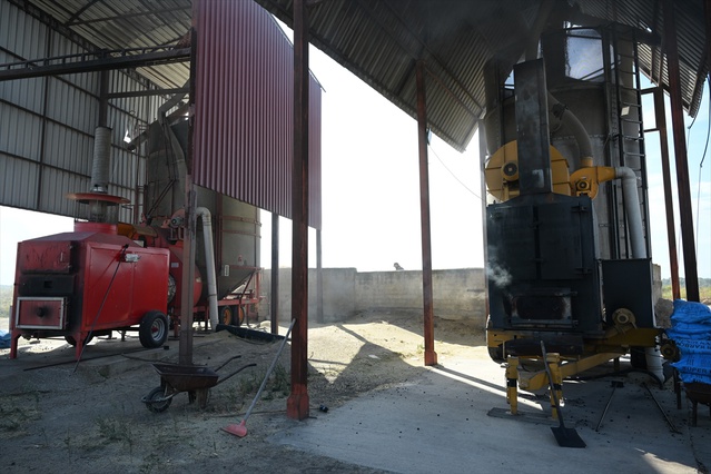 Edirne'de çeltik üreticileri, kuruttukları ürün için devletten iyi fiyat bekliyor