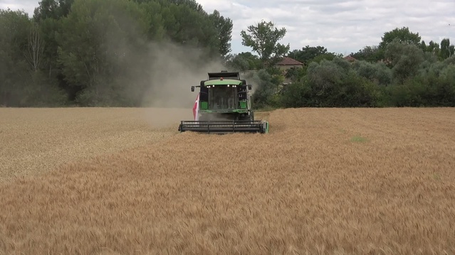 Yozgat'ta denemede arpada dekara 763, nohutta dekara 233 kilograma kadar verim alındı
