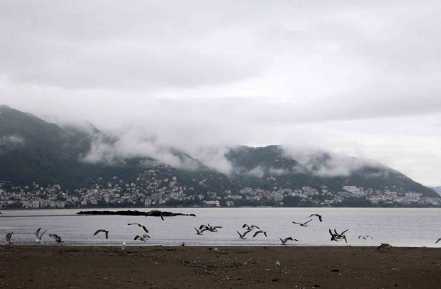 Ordu'da Boztepe, sis bulutları ve martılarla eşsiz bir manzaraya sahne oldu