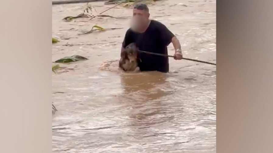 Sel sularında canını hiçe saydı: Köpekleri böyle kurtardı