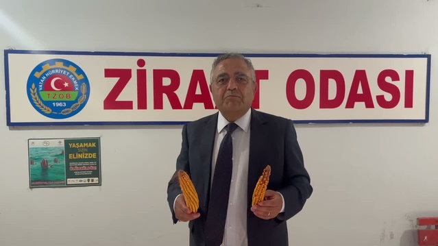 Tanrıkulu, Batman'da çiftçiler için mısırda en az 17 bin lira istedi