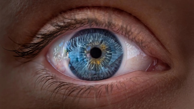 Yapay zeka retina taraması kronolojik yaşı 2,5-2,7 yıl hata payıyla tahmin etti