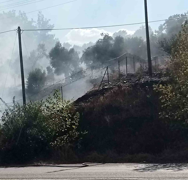 Milas-Söke Karayolu'nda otluk yangın yayılmadan söndürüldü, soruşturma başlatıldı