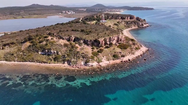 Balıkesir Ayvalık'ta Badavut Sahili'nde kum zambakları ahşap kafeslerle korunuyor