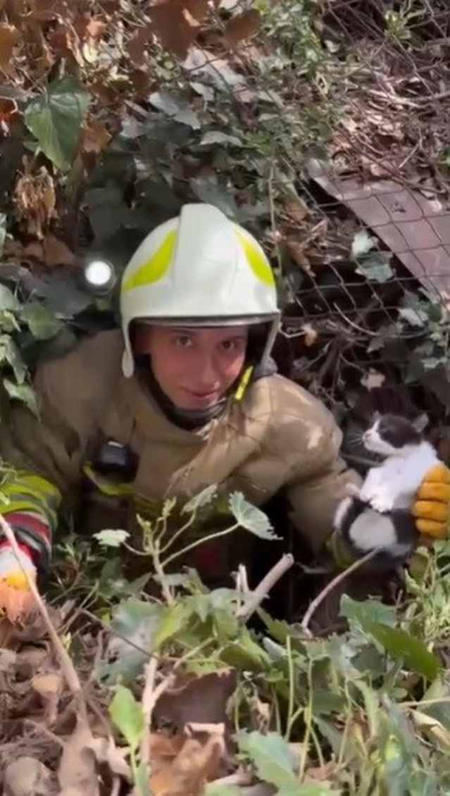 Edirne Karaağaç'ta kuyuya düşen kedi yavrusu 10 metre derinlikten kurtarıldı