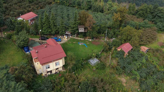 Ordu'da Adnan Çandır (85), 90 yıllık meşe ağacına 16 metrekarelik ev inşa ettirdi