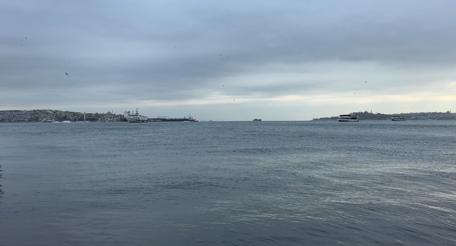 İstanbul'da sağanak hayatı olumsuz etkiledi, Şişli'de ağaçlar devrildi