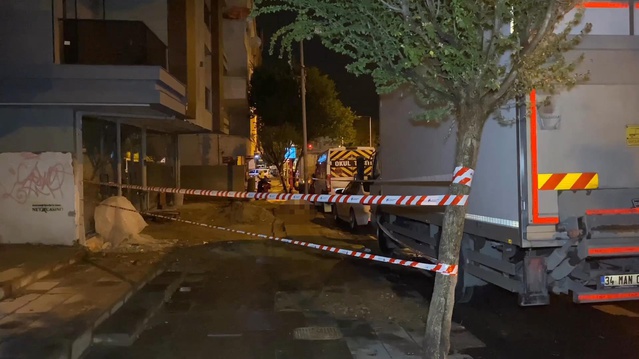 Küçükçekmece'de köpeği için akıma kapılan sahibi yaralandı, köpeği öldü