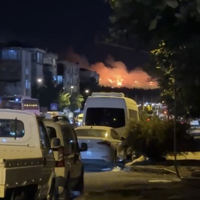 Kırklareli Lüleburgaz'da otluk yangın ağaçlık alana sıçradı, 2 saatte söndürüldü