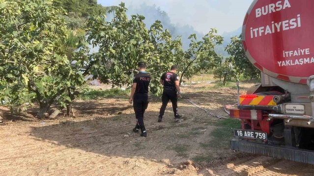 Mudanya'da ateş ağaçları tutuşturdu, Yunus Timleri yangını büyümeden söndürttü