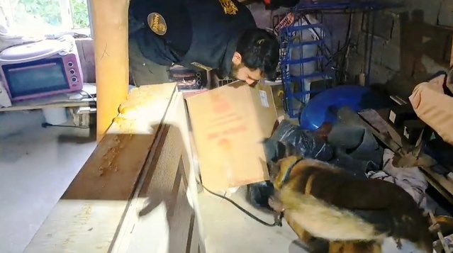 Bitlis'te uyuşturucu operasyonunda 9 kilo 45 gram esrar ele geçirildi, 1 kişi tutuklandı