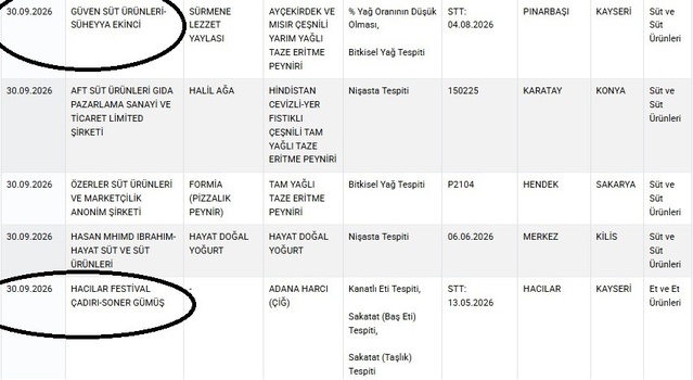 Kayseri'den 2 firma Bakanlığın taklit listesine girdi, peynirde bitkisel yağ çıktı
