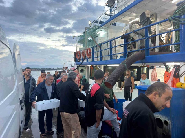 Aydın Didim'de hamsi kotası denetiminde tekneler ve işletmeler kontrol edildi