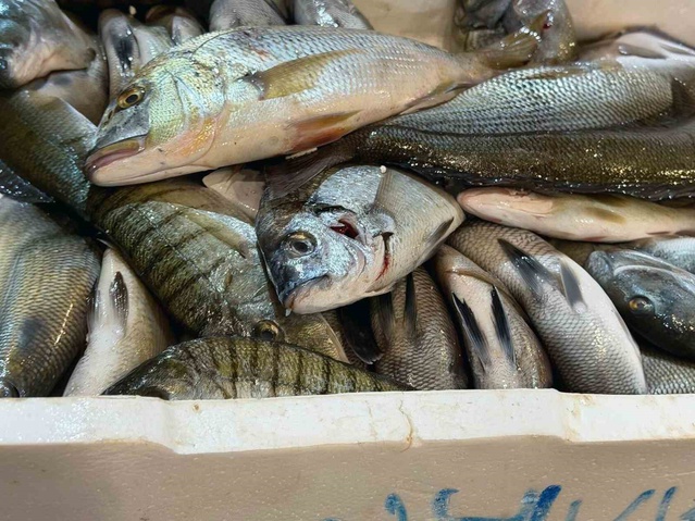 İzmir Buca Balık Hali'nde denetimde 45 kilo yasa dışı su ürünü müsadere edildi