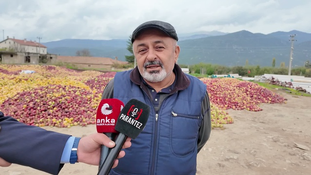 Isparta'da meyve suyu elması 12 liradan 3 liraya gerileyince üreticiler itiraz etti