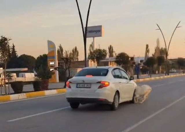 Manisa Akhisar'da otomobil yola çıkan koyun ve keçilere çarptı, 3 keçi telef oldu