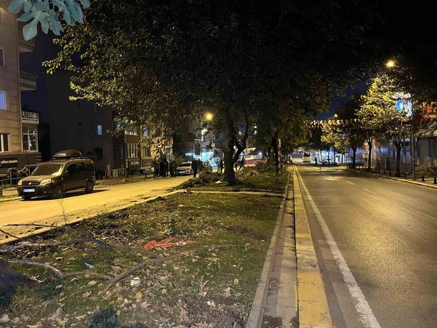 Eyüpsultan'da 5 ağacın gece kesildiği iddiası üzerine vatandaşlar açıklama yaptı