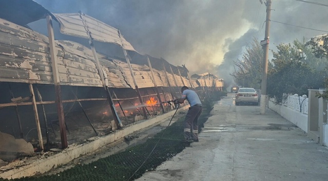 Kuşadası'ndaki pazarda çıkan yangında patlamalar yaşandı, 3 saatte söndürüldü