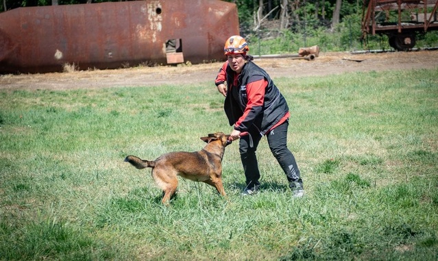 NAK Muğla'nın iki arama kurtarma köpeği Afyonkarahisar'daki sınavlarda başarılı oldu
