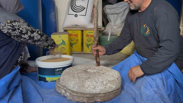 Sakarya Kaynarca'da Ceylan çifti 90 yıllık darı geleneğini taş değirmende yaşatıyor