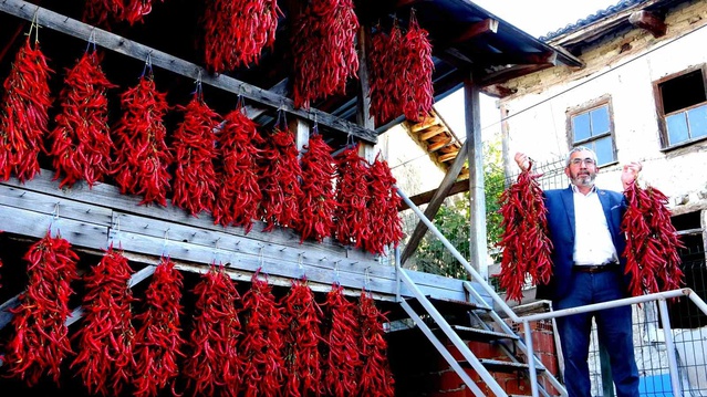 Çukurören biberi duvarlarda kurutuluyor, fiyatı geçen yıla göre yüzde 50 arttı