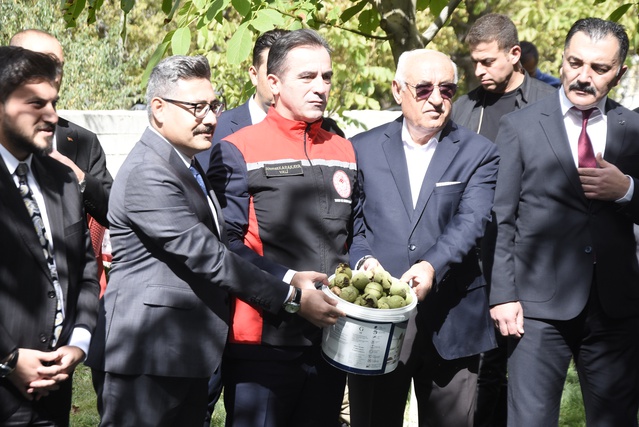 Bitlis Adilcevaz'da ceviz hasadı başladı, Vali Karakaya yıllık 7 bin 900 tonu anlattı
