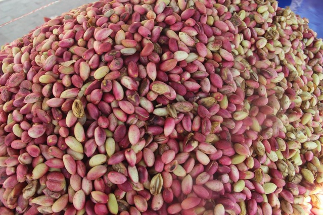 USDA, Türkiye'nin 2026/27 Antep fıstığı rekoltesini 130 bin ton olarak öngördü
