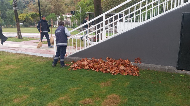 Şehzadeler Belediyesi, Manisa'da yağış sonrası yaprakları temizledi