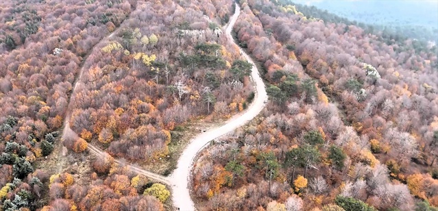 Balıkesir Sındırgı'da Ulus Dağı ormanları sonbahar renkleriyle havadan görüntülendi