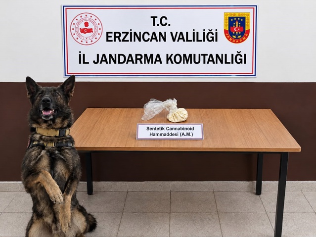 Erzincan'da jandarma 2 operasyonda 13 gram skunk ile 35 gram hammadde ele geçirdi