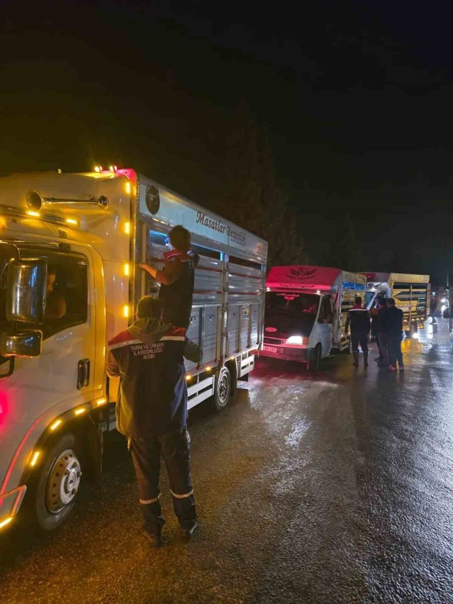 Aydın Çine'deki hayvan pazarı küpe ve belge denetimiyle yeniden açıldı
