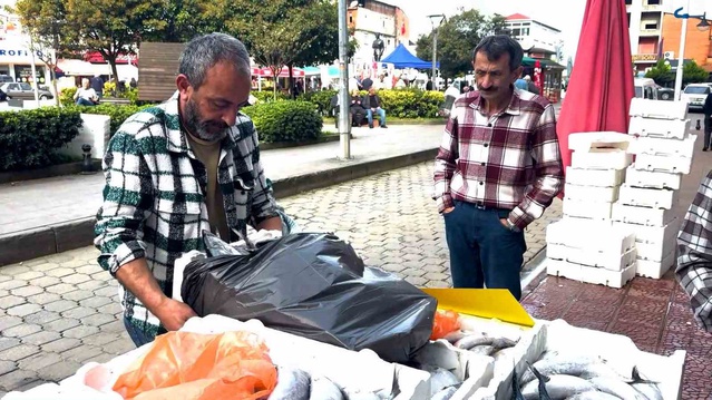 Rize Pazar'da palamut bereketi tezgahlara indirim getirdi, 3 iri palamut 100 TL