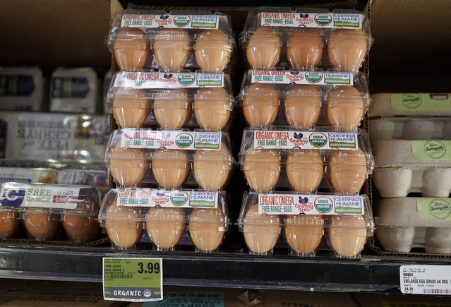 Hong Kong, H5N1 nedeniyle Pembina ile ABD'deki county'lerden kanatlı ithalatını kesti.