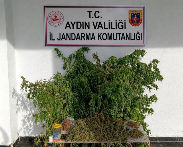 Jandarma, Aydın İncirliova'da bir evde 3 bin 42 gram esrar ve 47 kök kenevir buldu