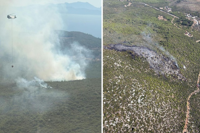 Bodrum'da orman yangı! 2 uçak, 6 helikopter ve 102 personelle müdahale