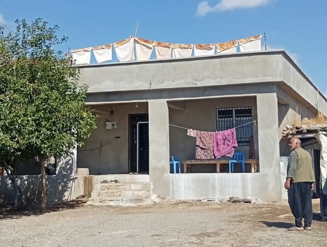 Şanlıurfa Siverek'te pestil hazırlığı başladı, karışım çarşaflarda kuruyor