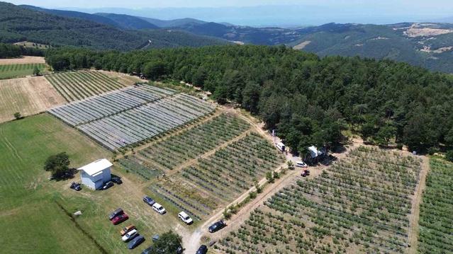 BEBKA, yaban mersininde Türkiye lideri Bursa için yol haritası hazırlayacak