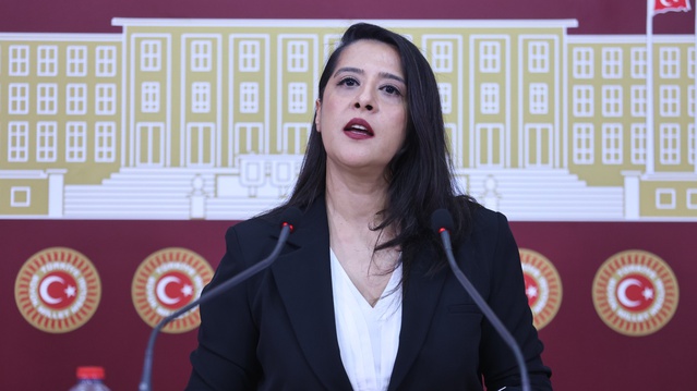 EMEP'li Karaca, Diyarbakır Sur'da 540 dönümü aşan meranın GES tahsisini TBMM'ye sordu