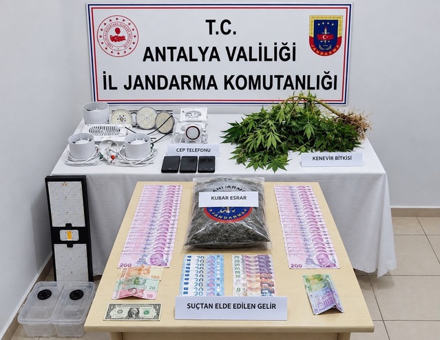 Antalya Manavgat'ta jandarma, evinde 3 kök kenevir yetiştiren şüpheliyi gözaltına aldı