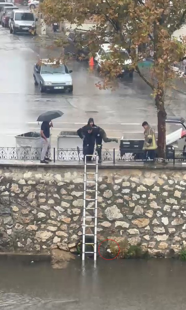 Bursa Gemlik'te sağanakta Karsak Deresi'ne düşen yavru kediyi itfaiye kurtardı