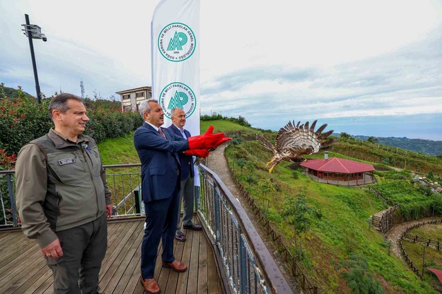Rize'de tedavi edilen arı şahini 9 günde 798 kilometre uçup Ürdün'e ulaştı
