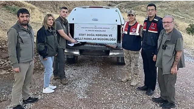 Siirt'te avcılık belgesi olmadan takozsuz av tüfeğiyle avlanan kişi yakalandı
